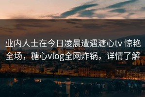 业内人士在今日凌晨遭遇溏心tv 惊艳全场，糖心vlog全网炸锅，详情了解