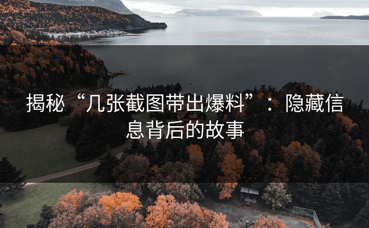 揭秘“几张截图带出爆料”：隐藏信息背后的故事