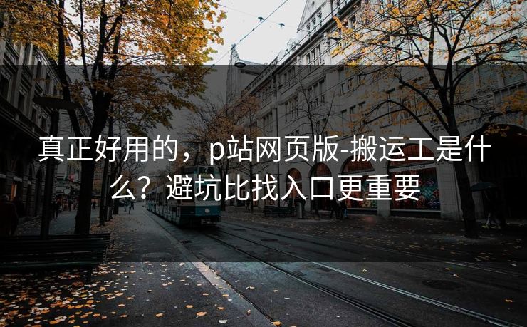 真正好用的，p站网页版-搬运工是什么？避坑比找入口更重要