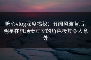 糖心vlog深度揭秘：丑闻风波背后，明星在机场贵宾室的角色极其令人意外
