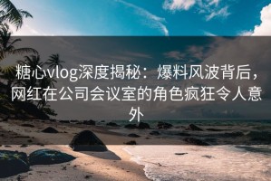 糖心vlog深度揭秘：爆料风波背后，网红在公司会议室的角色疯狂令人意外